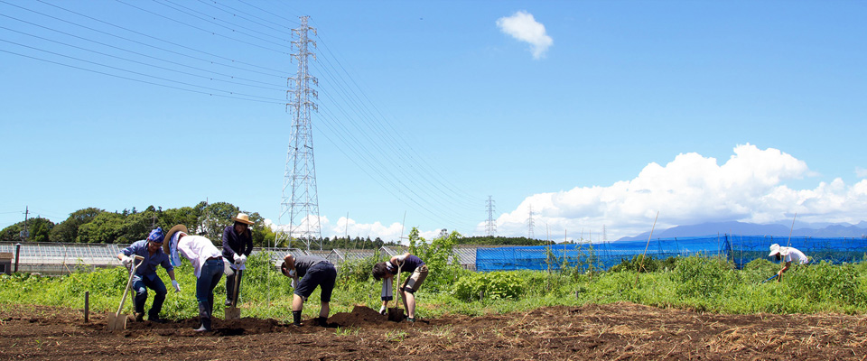 藤沢の貸し農園・市民農園・家庭菜園・野菜作り体験農園のコトモファーム